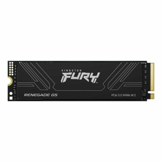 新風尚潮流 【SFYR2S/1T0】 金士頓 1TB FURY PCIe 5.0 NVMe M.2 SSD 固態硬碟