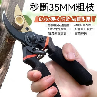 台灣出貨🔥SK5 樹枝剪 園藝剪 花剪 園藝剪刀 修枝剪 高枝剪 修花剪刀 果樹剪 園藝工具 花藝剪刀 修枝剪花藝園林