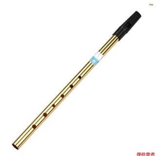新的愛爾蘭口哨 D 6 孔長笛管樂器的新愛爾蘭長笛鍵初學者中級專家