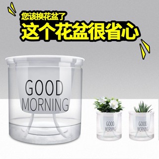 🔥桃園出貨🔥 懶人花盆 懶人盆栽 透明花盆 吸水花盆 自吸水花盆 免澆水花盆 盆栽 水培花盆 塑膠花盆 水耕瓶 小花盆