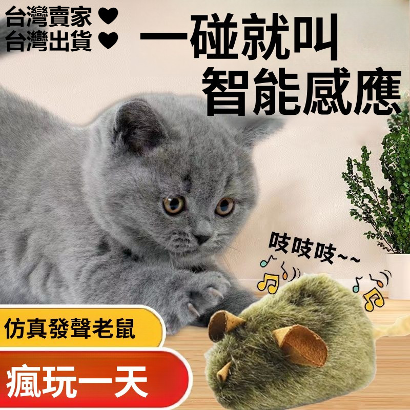 寵物玩具 貓狗玩具 發聲老鼠 貓玩具 貓咪自嗨 耐抓耐咬 寵物玩具 仿真老鼠 新品寵物玩具 逗貓