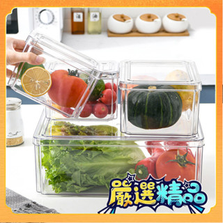 🎉臺灣熱賣🎉PET冰箱收納盒 透明廚房果蔬保鮮盒帶蓋儲物盒食品收納整理盒套裝🎉全館下殺🎉X01