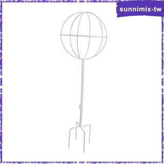 [SunnimixTW✿] 室內室外花園配件盆栽植物格子室內植物格子架