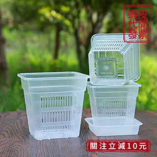 🚀桃園出貨🚀（滿199免運）蝴蝶蘭花專用盆鏤空網格高透明養花盆塑膠方形水苔帶底孔控根透氣
