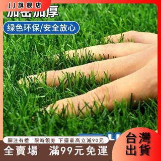臺灣出貨 模擬草坪地毯幼兒園草坪墊子人工戶外假草坪人造塑膠草皮陽臺裝飾