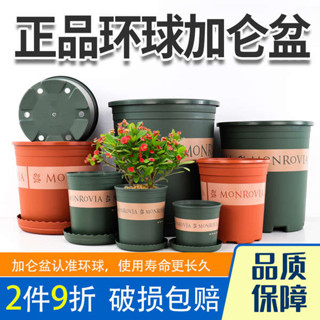 生態瓶 多肉花盆 花盆 環球加侖花盆塑膠加厚樹脂圓形種植盆多肉綠蘿蘭花月季特大花盆
