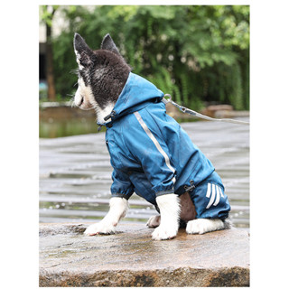 免運 狗狗雨衣 中小型犬雨衣 寵物雨衣 小狗雨衣 寵物衣物 狗狗風衣 斗篷雨衣 雨衣 小型犬 寵物服飾