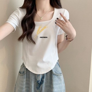 胖胖美依 上衣 T恤 短袖上衣 M-2XL純棉弧形下襬方口領短袖t恤洋氣設計感魚骨修身顯瘦上衣-7024.