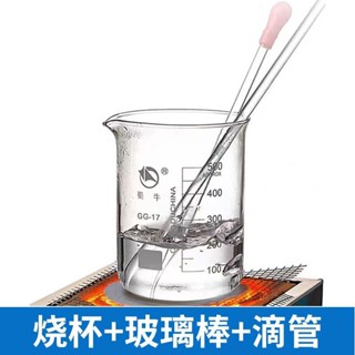 蜀牛燒杯玻璃棒套裝100 250 500 1000ml毫陞帶把手燒杯實驗器材[djw]