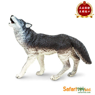 ★兒童玩具模型上新★Safari Ltd 美國正品 咆哮灰狼 動物模型兒童玩具 273829