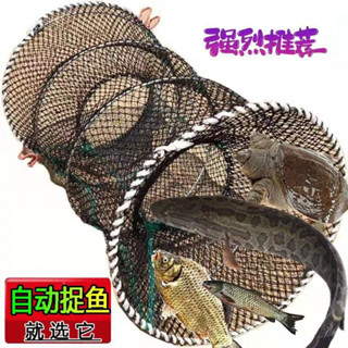 【漁人港灣】捕魚花籃自動折疊圓形竹籠兩頭通魚籃黑魚籠鯽魚籠甲魚籠鱉籠漁網 抓魚網 捕魚籠 捕蝦籠 地籠