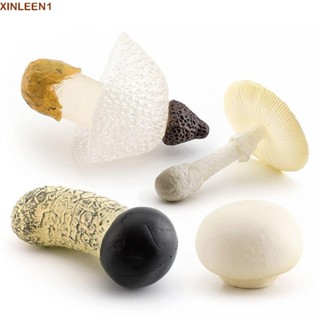 XINLEEN1模擬蘑菇,景觀微縮模型松茸牡蠣真菌小雕像,側耳植物蔬菜模型真菌模型家居裝飾