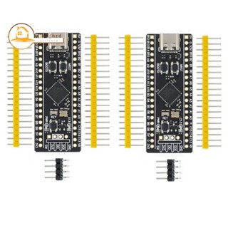 2Pcs STM32F411開發板,STM32F411CEU6 STM32F4學習板,支援程式設計