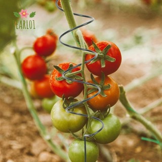 PEARL01攀爬植物支架,爬藤架盆景番茄螺旋樁,新建經久耐用樁架固定桿扭曲的番茄木樁花園