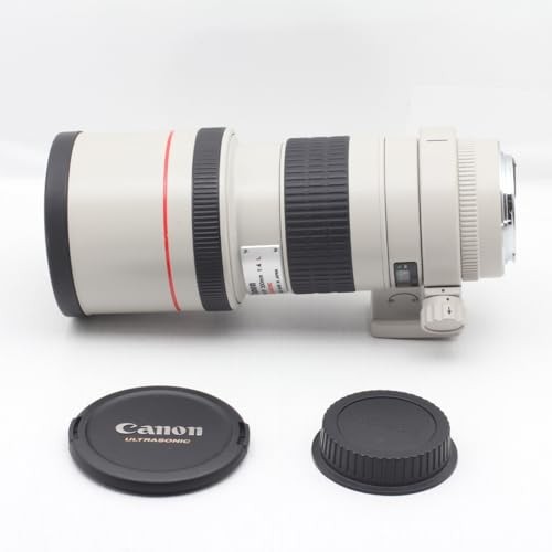 Canon/Canon EF 300mm F4L USM 豪華單焦鏡頭相機 [二手]