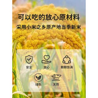 dono and dono 嬰兒睡枕 保護頸部區域 小米定型枕睡頭型0到6個月圓頭嬰兒枕頭嬰幼兒矯正新生兒寶寶專用