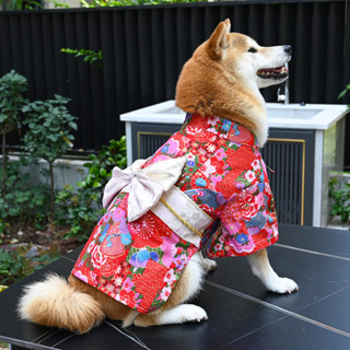寵物和服 ✨️寵物衣服 ✨️芮柴家寵物狗狗柴犬衣服 純棉和風日式和服 柯基泰迪拍照攝影服 裝現貨熱銷
