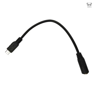 3.5mm介面麥克風轉接線 迷你USB轉3.5mm 適用於所有gopro