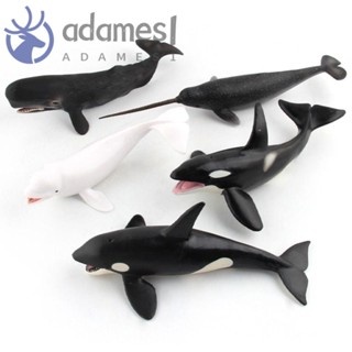ADAMES海洋動物模型,模擬抹香鯨鯨魚公仔,創意教育類實心PVC水下生物海洋生物人物聖誕禮物
