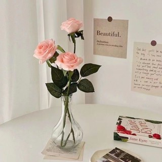 宜家衕款花瓶現代透明小口徑玻璃花瓶客廳餐廳桌麵插幹花裝飾擺件
