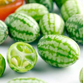 12h出貨 拇指西瓜（30粒）迷你小西瓜 盆栽西瓜 高產水果 維C高能量 高產 一株結多瓜 四季種植 薄皮迷你西瓜種子