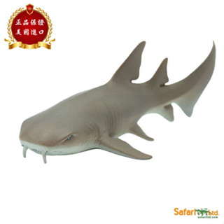 ★兒童玩具模型上新★Safari Ltd美國正品 護士鯊 鯊魚模擬海洋動物模型兒童玩具200629