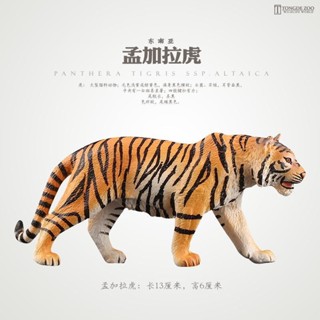 正版模擬動物老虎 模型玩具老虎 東北虎孟加拉虎模型男孩兒童玩具