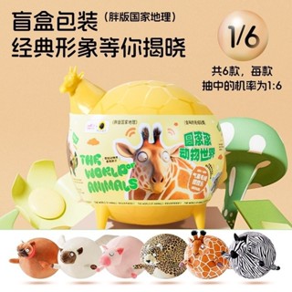 新品[驚喜盲盒]提莫星球圓滾滾胖版國家地理動物毛絨玩具捏捏樂解壓玩偶盲盒禮物
