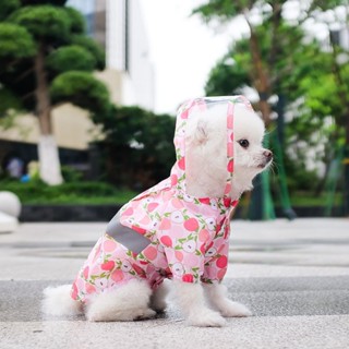 新品現貨小狗狗雨衣泰迪比熊博美雪納瑞小型幼犬雨披全包防水雨天寵物衣服20250605