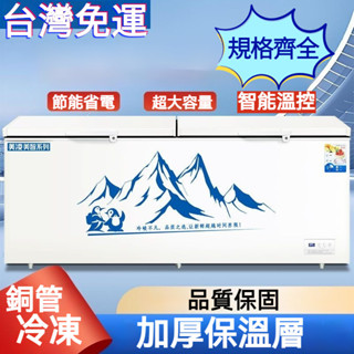 冰櫃商用冷藏冷凍 大容量超市展示櫃 單溫雙溫冷凍櫃 冷藏櫃 冰箱冷藏櫃 雪糕冷藏櫃 雪糕櫃 冷凍櫃