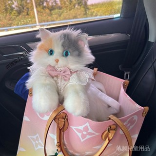 華興汽車模型[爆款]布偶貓咪揹包 模擬雙肩包包 玩偶公仔毛絨玩具 生日禮物 三花貓 貓咪揹包