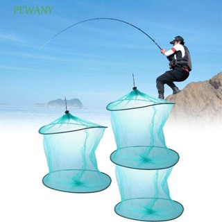 PEWANY漁網小龍蝦蝦網釣魚誘餌陷阱2層尼龍螃蟹陷阱小魚陷阱魚蝦網箱網格可折疊魚防護網