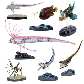 Colorata日本蝴蝶社原裝正品博物館收藏模型深海魚恐怖怪物皇帶魚