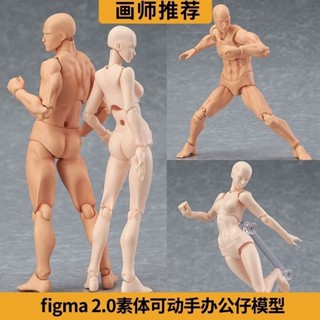 現貨速發#2.0素體人體手辦模型學生美術繪畵參考男女擺件figma關節可動 LC公仔 玩偶 擺件
