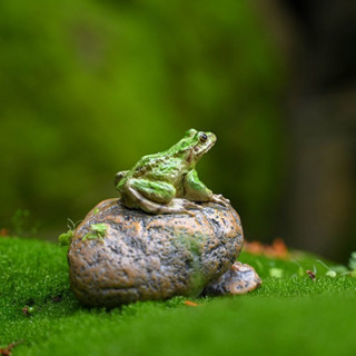 【限時特惠 關註立減】樹脂模擬青蛙趴石頭擺件 園藝 假山 花卉盆景 微景觀造景動物裝飾 擺設