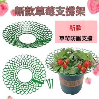 💎限時特賣💎臺灣出貨💎家庭種植草莓託盤架 防腐爛防倒伏 草莓支撐架園藝盆栽 果實支架 離地支架 離地拖架 植物支架