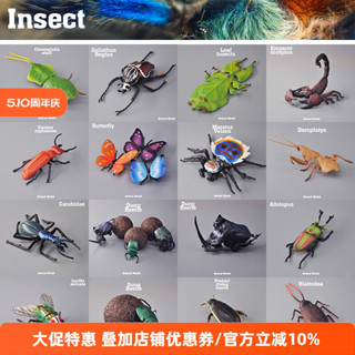 外單正品 正版模擬動物模型 昆蟲甲蟲蝴蝶蠍子蜘蛛模型 玩具收藏