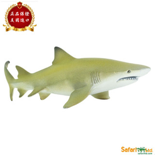 ★兒童玩具模型上新★Safari Ltd美國正品 檸檬鯊 鯊魚模擬海洋動物模型兒童玩具100097