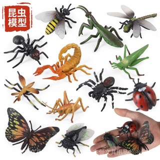 [今日現貨 特價][恐龍玩具][動物][動物模型][男童]新款崑蟲玩具全套模擬螳螂模型崑蟲世界蟑螂蚊子蠍子兒童科敎認知