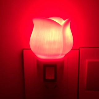 LED紅色開關兩腳插電燈籠燈床頭燈婚慶氛圍入宅過年夜燈紅色紅光LED紅色開關兩腳插電燈籠燈床頭燈婚慶氛圍入宅過年夜燈紅色