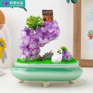 ✨ 天然水晶 工藝品 居家擺件 ✨天然紫水晶招財擺件創意紫晶牙花首飾消磁傢居辦公桌裝飾品擺件 TRSST