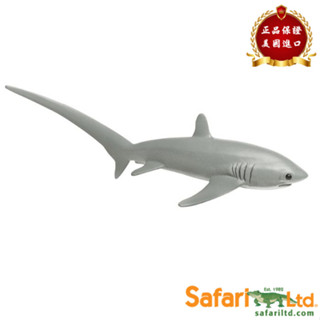 ★兒童玩具模型上新★Safari Ltd美國正品 長尾鯊 鯊魚 模擬動物模型兒童玩具 200229