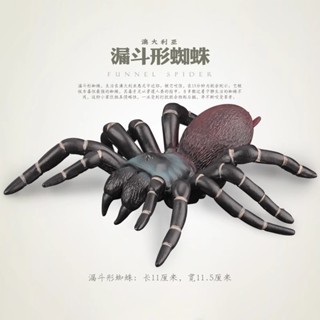 玩物尚誌白蜘蛛模型模擬野生崑蟲動物玩具兒童益智