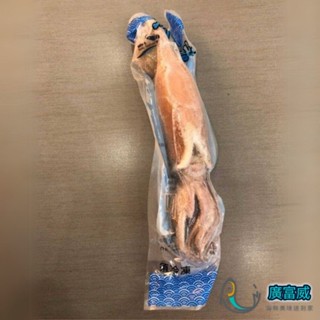 【廣富威】甜熟冰卷 熟冰捲 熟魷魚 熟凍 (200/300g/包) 特價中 解凍即食 下酒菜 餐廳 大規格