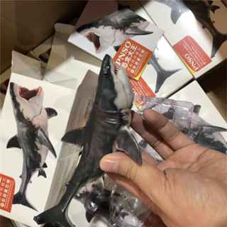 ★兒童玩具模型上新★PNSO 巨齒鯊 恐龍大王 巨齒鯊 成長陪伴模型15巨齒鯊巴頓
