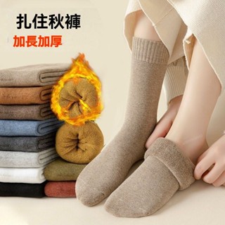 熱賣☀️保暖襪 冬天襪子 珊瑚絨襪 中筒襪 加厚襪子女秋冬季加絨中筒襪保暖毛圈襪毛巾襪冬天女士厚襪子長襪 雪地襪