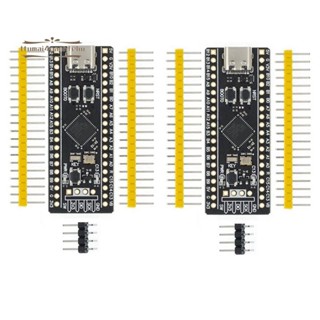 2Pcs STM32F411開發板,STM32F411CEU6 STM32F4學習板,支援程式設計
