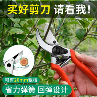 精品 園林修枝剪果樹剪刀蒜苗樹枝粗枝花藝修剪工具葡萄園藝大力剪子 5c