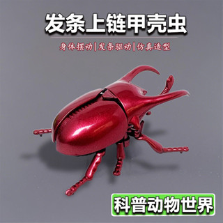 🔥優選百貨🔥創意上鍊條甲蟲模擬甲殼蟲發條昆蟲模型爬行玩具會跑男孩兒童寶寶