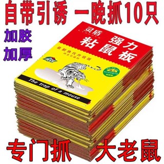 靈盾強力膠·瞬間抓大老鼠·居家必備·強力捕鼠神器